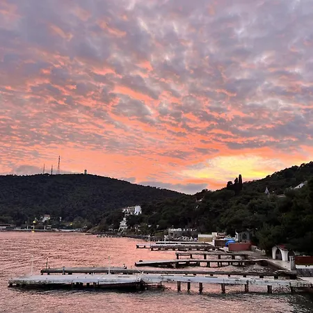 Bueyuekada I Private Pier & Seawater Pool איסטמבול