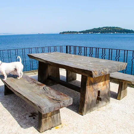 Bueyuekada I Private Pier & Seawater Pool *