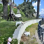 Bueyuekada I Private Pier & Seawater Pool