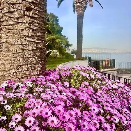 Bueyuekada I Private Pier & Seawater Pool * Istanbul