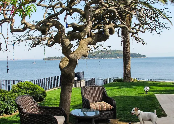 Villa Bueyuekada Istanbul