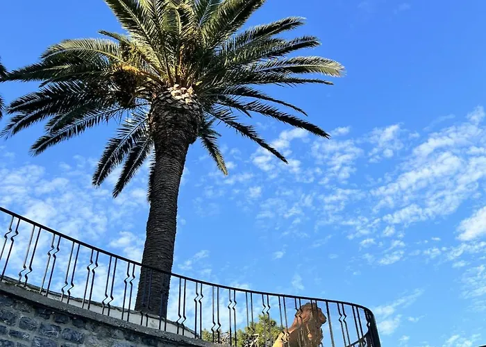 Bueyuekada I Private Pier & Seawater Pool 伊斯坦布尔