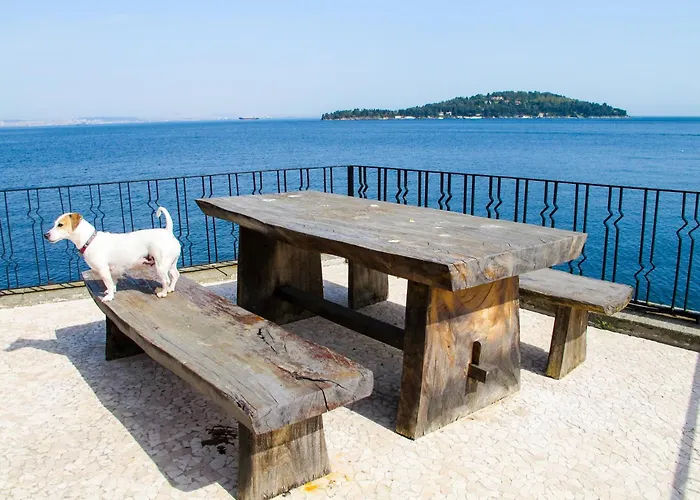 Bueyuekada I Private Pier & Seawater Pool *