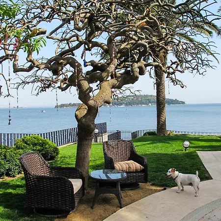 Villa Büyükada İstanbul